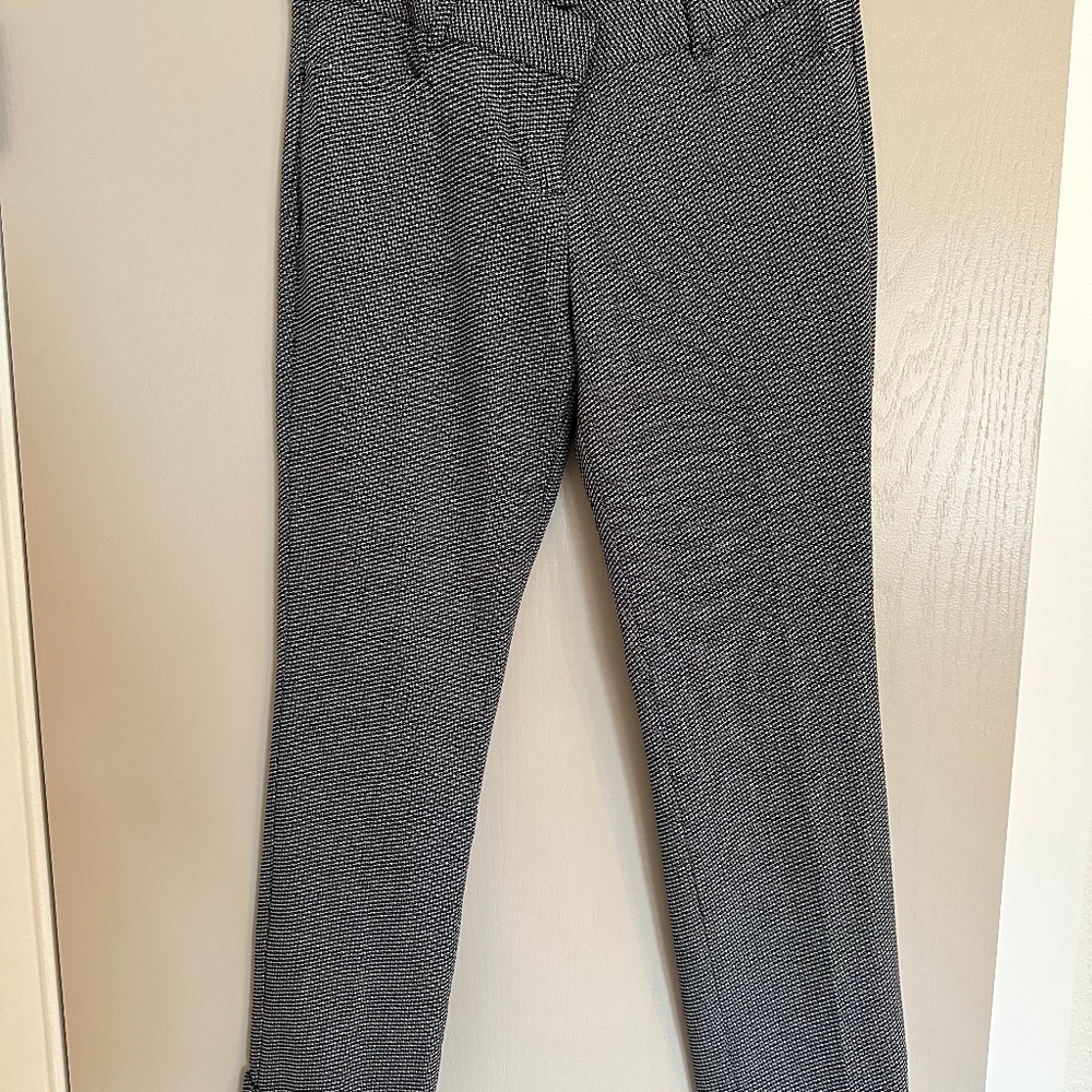 Express Columnist Cropped Trouser Pants